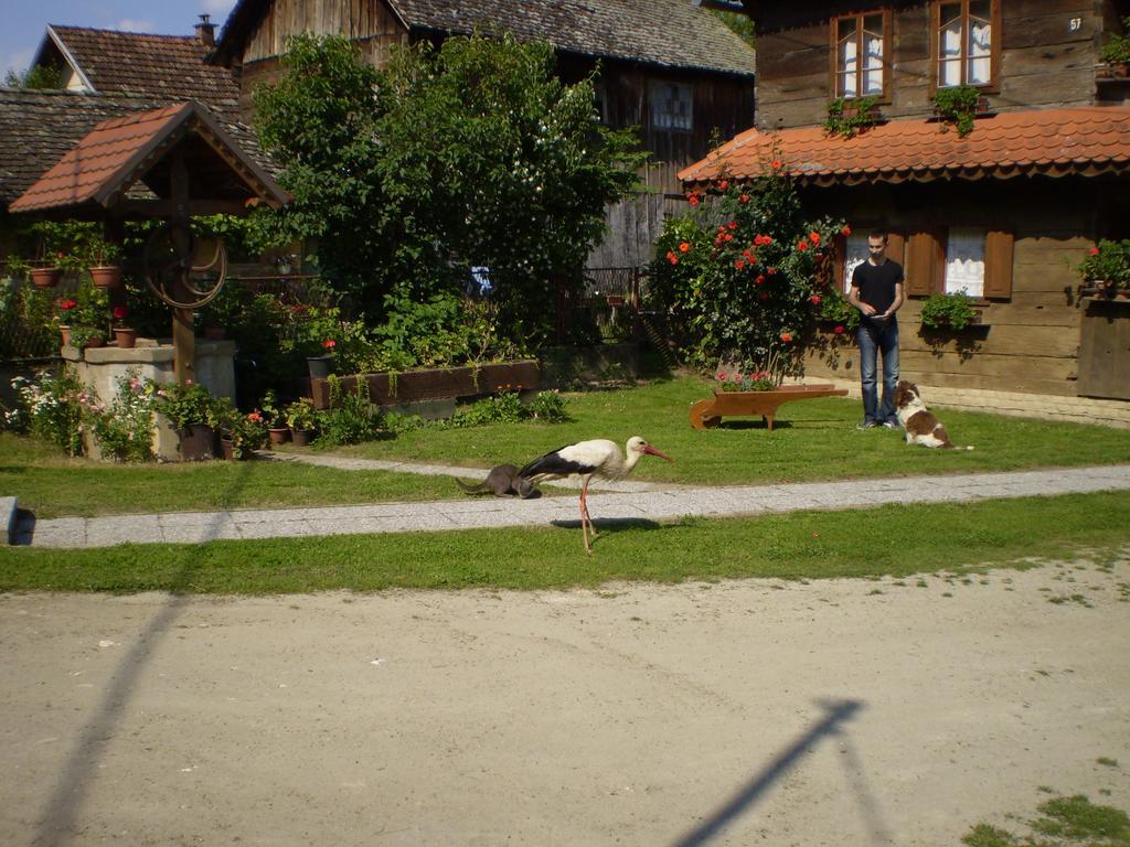 Apartments Iza Na Trem Čigoč Dış mekan fotoğraf
