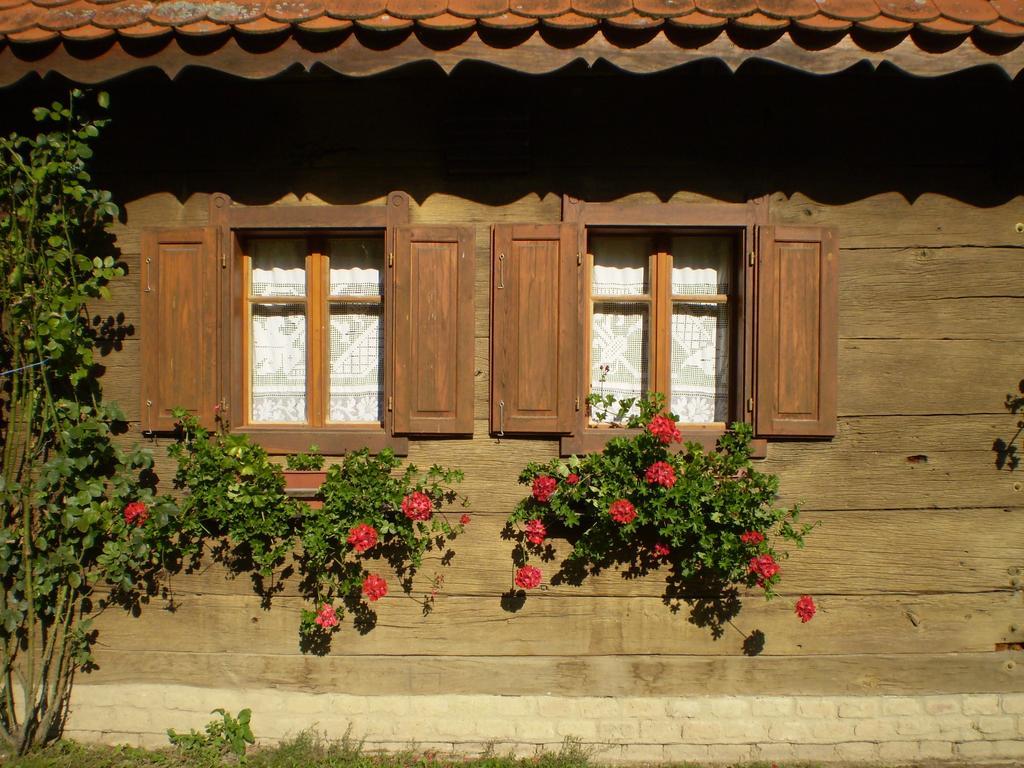 Apartments Iza Na Trem Čigoč Dış mekan fotoğraf