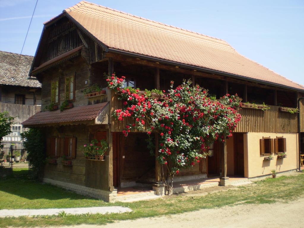 Apartments Iza Na Trem Čigoč Dış mekan fotoğraf